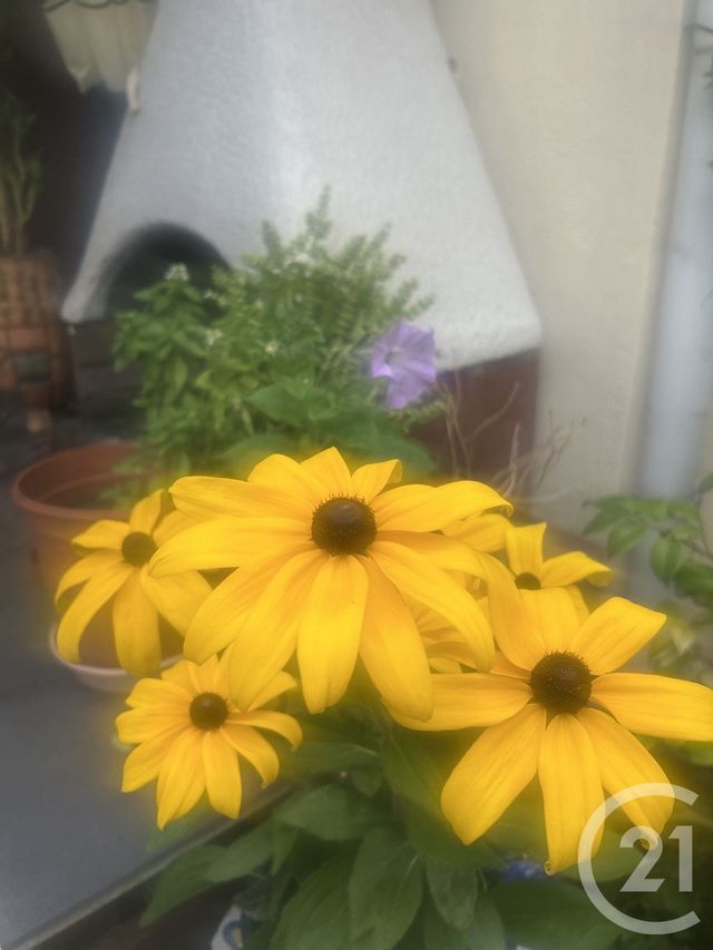 Afficher la photo en grand maison à vendre - 6 pièces - 115.0 m2 - STAINS - 93 - ILE-DE-FRANCE - Century 21 Wilson Immobilier